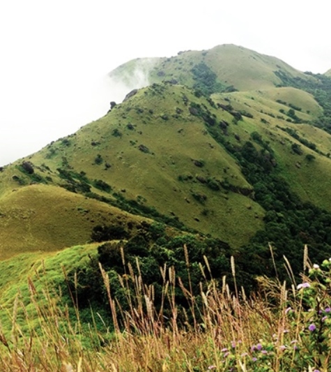 Tadiyandamol Peak, Kodagu, Karnataka - Vushii.com Tadiyandamol Peak, Kodagu, Karnataka - Vushii.com